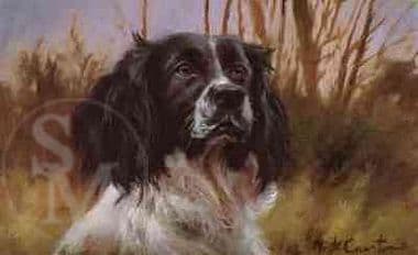 Springer Spaniel Limited Edition Print 'Black And White Springer Head' by Mick Cawston