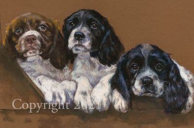 Springer Spaniel Limited Edition Print 'Budge Up' by Debbie Gillingham