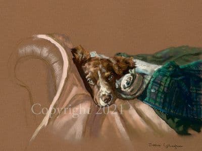 Springer Spaniel Limited Edition Print' Cosy Toes' by Debbie Gillingham