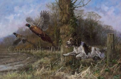 Springer Spaniel Limited Edition Print 'Flushed with Success' by John Trickett