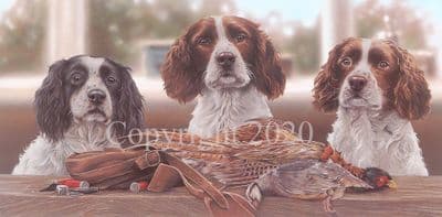 Springer Spaniel Limited Edition Print 'Gamekeeper's Row' by Paul Doyle
