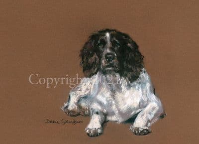 Springer Spaniel Limited Edition Print 'Honesty' by Debbie Gillingham