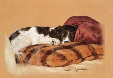 Springer Spaniel Limited Edition Print 'I Didn't Mean It!' by Debbie Gillingham