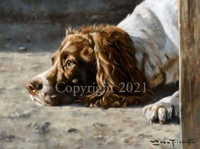 Springer Spaniel Limited Edition Print'Left at Home' by John Trickett