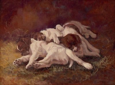 Springer Spaniel Limited Edition Print 'Legs Eleven' by Elizabeth Scrivener