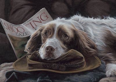 Springer Spaniel Limited Edition Print 'My Favourite Things' by Paul Doyle
