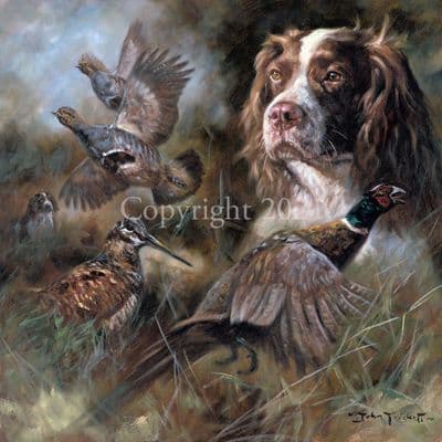 Springer Spaniel Limited Edition Print 'Not Just A Job' by John Trickett