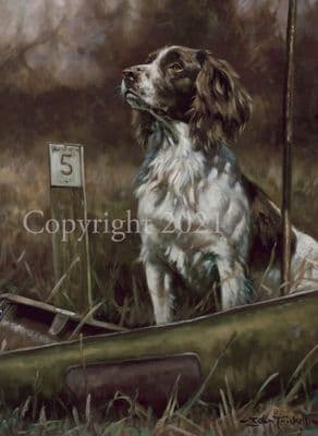 Springer Spaniel Limited Edition Print 'Ready' by John Trickett
