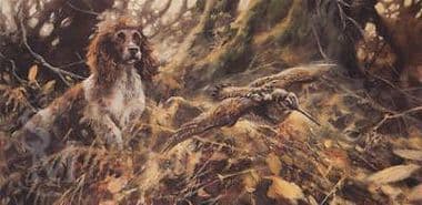 Springer Spaniel Limited Edition Print 'Springer And Woodcock' by Mick Cawston