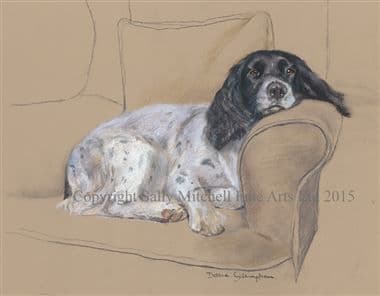 Springer Spaniel Limited Edition Print 'Sunday Afternoon' by Debbie Gillingham
