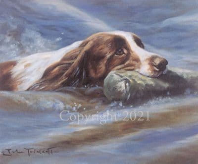 Springer Spaniel Limited Edition Print 'The Final Test' by John Trickett