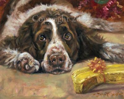 Springer Spaniel Limited Edition Print 'The Present' by John Trickett