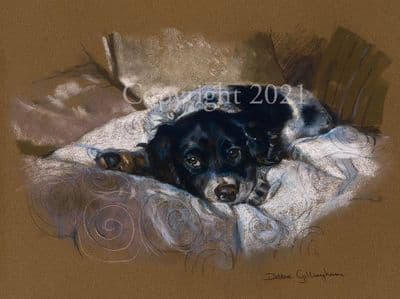 Springer Spaniel Limited Edition Print 'The Sleepover' by Debbie Gillingham