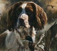 Springer Spaniel Limited Edition Print 'The Wildfowler Springer' by John Trickett