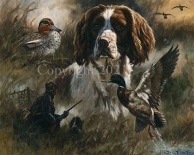 Springer Spaniel Limited Edition Print 'The Wildfowler Springer' by John Trickett