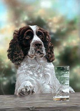 Springer Spaniel Limited Edition Print 'Thirsty Work' by Paul Doyle