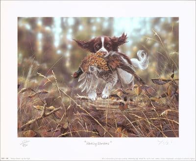 Springer Spaniel Limited Edition Print 'Working Wonders' by Paul Doyle