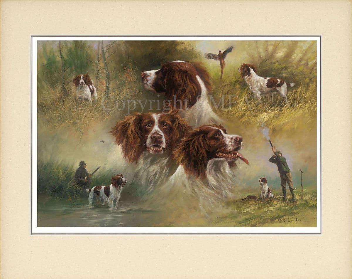 springer-spaniel-open-edition-