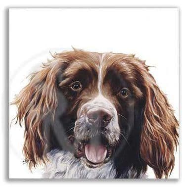 Springer Spaniel Open Edition 'Springer Head' by Paul Doyle