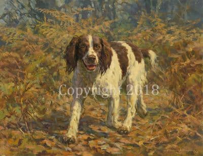 Springer Spaniel Original Oil on Canvas 'Through The Bracken' by Frederick Haycock