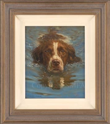 Springer Spaniel Original Painting 'Swimming' by Frederick J Haycock