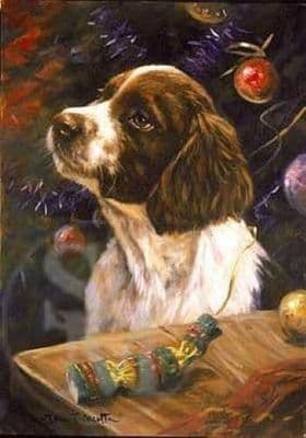 Springer Spaniel Puppy Blank Greetings Card  'Christmas Time' by John Trickett C253