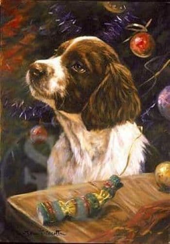 Springer Spaniel Puppy Blank Greetings Card  'Christmas Time' by John Trickett C253