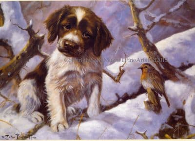 Springer Spaniel  Puppy Liver and White Greetings Card 'First Encounter' by John Trickett C108