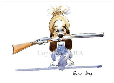 Springer Spaniel Shooting Funny Blank Greetings Card 'Gun Dog' by Malcolm Coward M003