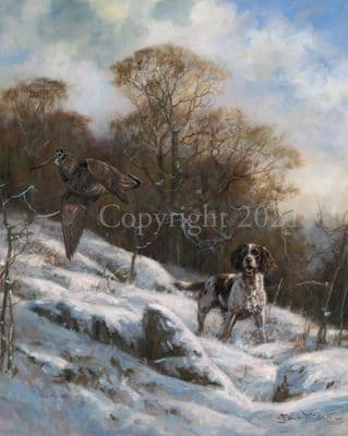 Springer Spaniel Woodcock Limited Edition Print 'Flushed Woodcock' by John Trickett