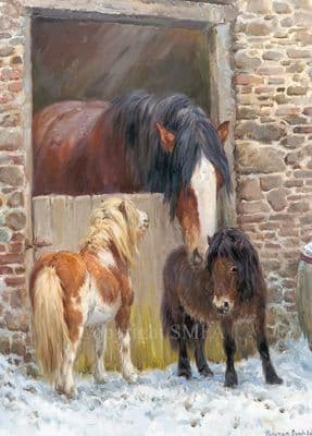Stable Mates' Clydesdale and Shetland Pony Christmas Cards by Rosemary Sarah Welch