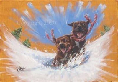 Staffordshire Bull Terrier Blank Greetings Card 'Staff Board' by Paul Doyle C619