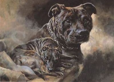 Staffordshire Bull Terrier Blank Greetings Card 'Staffordshire Bull Terrier' by Mick Cawston B119