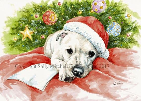 Staffordshire Bull Terrier Christmas Cards 'I Can Explain!' by Paul Doyle C551X