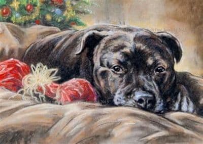 Staffordshire Bull Terrier Christmas Cards 'Staff Christmas' by Paul Doyle C480X
