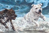 Staffordshire Bull Terrier Limited Edition Print 'Beach Boys' by Paul Doyle