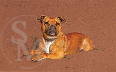 Staffordshire Bull Terrier Limited Edition Print 'Lionheart' by Debbie Gillingham