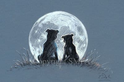 Staffordshire Bull Terrier Limited Edition Print 'Moongazing' by Paul Doyle