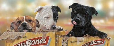 Staffordshire Bull Terrier Limited Edition Print 'Staff Bone-Us' by Paul Doyle