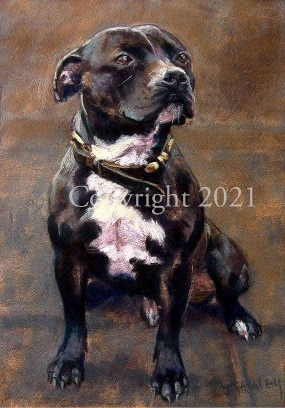 Staffordshire Bull Terrier Limited Edition Print 'Staffie' by Lesley Stanley