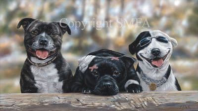 Staffordshire Bull Terrier Limited Edition Print 'The Good The Bad and The Cool' by Paul Doyle