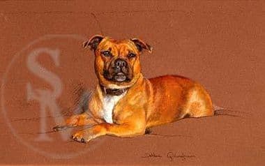 Staffordshire Bull Terrier Original Painting 'Lionheart' by Debbie Gillingham