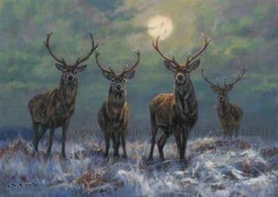 Stag Christmas Cards 'Stag Night' by John Trickett C554X
