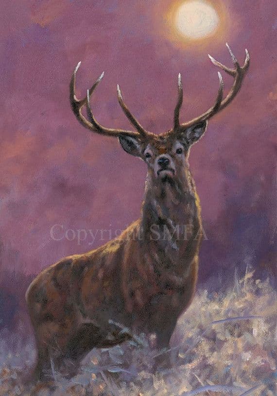 Stag Christmas Cards 'The Night Watchman' by John Trickett C669x