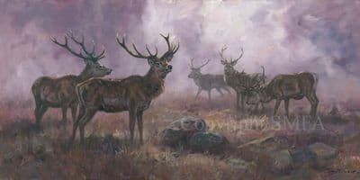 Stag Limited Edition Canvas Print  'Highland Mist' by John Trickett