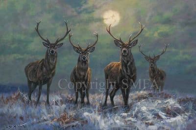 Stag Limited Edition Canvas Print 'Stag Night' by John Trickett