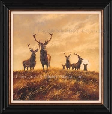 Stag Limited Edition Canvas Print 'Sunset Stags' by Mick Cawston