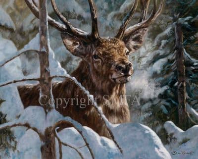 Stag Limited Edition Print 'Breath of Winter' by John Trickett