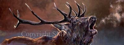 Stag Limited Edition Print 'Call of the Wild' by Jonathan Walker