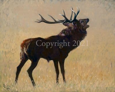 Stag Limited Edition Print 'Challenging Times' by Malcolm Coward